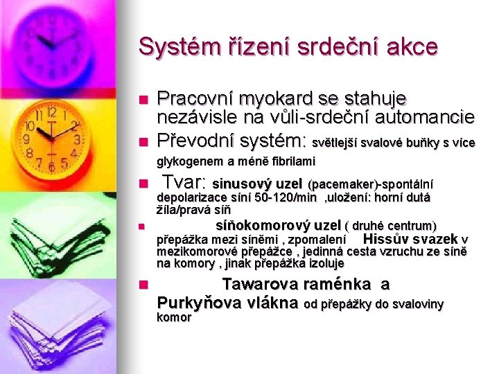 Systém řízení srdeční akce n n Pracovní myokard se stahuje nezávisle na vůli-srdeční automancie