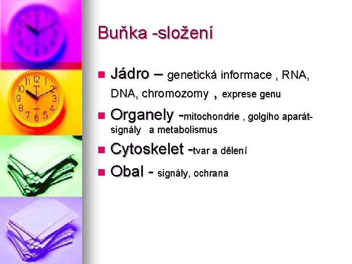 Buňka -složení Jádro – genetická informace , RNA, DNA, chromozomy , exprese genu n