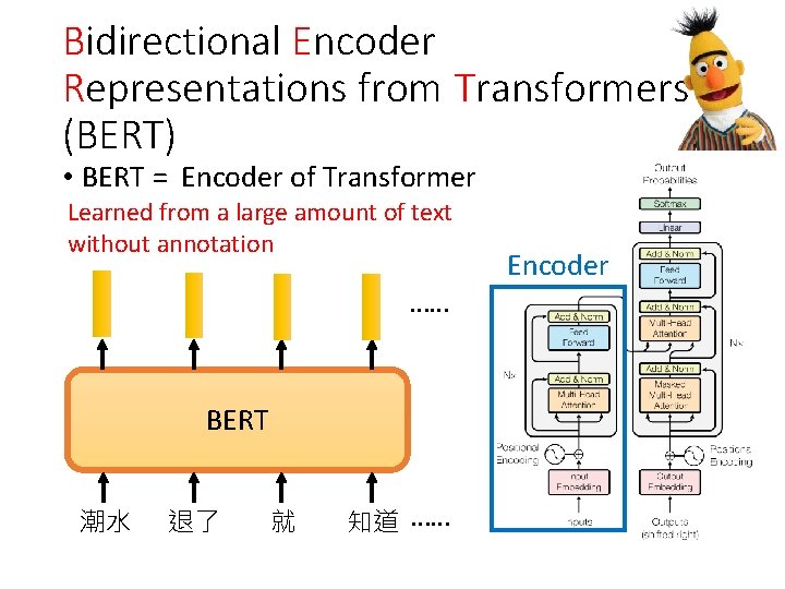 Bidirectional Encoder Representations from Transformers (BERT) • BERT = Encoder of Transformer Learned from