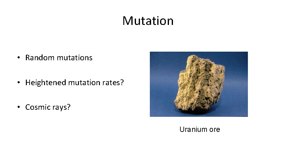 Mutation • Random mutations • Heightened mutation rates? • Cosmic rays? Uranium ore 