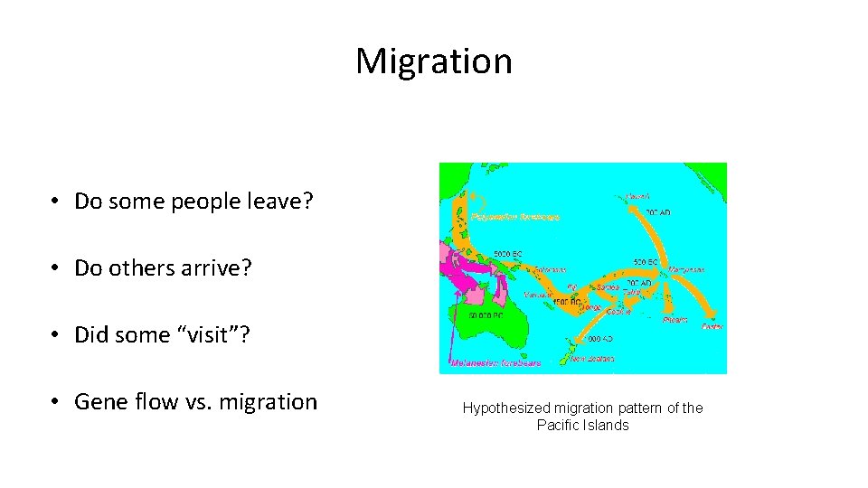 Migration • Do some people leave? • Do others arrive? • Did some “visit”?
