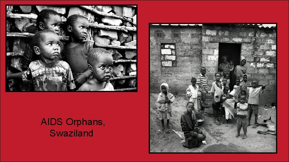 AIDS Orphans, Swaziland 