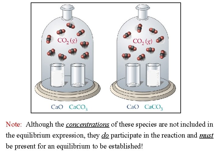 Note: Although the concentrations of these species are not included in the equilibrium expression,