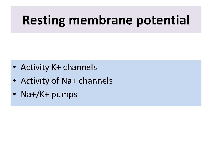 Resting membrane potential • Activity K+ channels • Activity of Na+ channels • Na+/K+