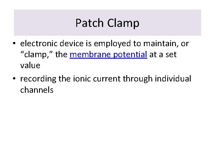 Patchclamp Clamp • electronic device is employed to maintain, or “clamp, ” the membrane