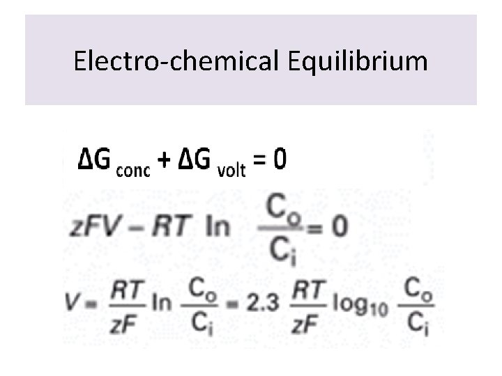 Electro-chemical Equilibrium 