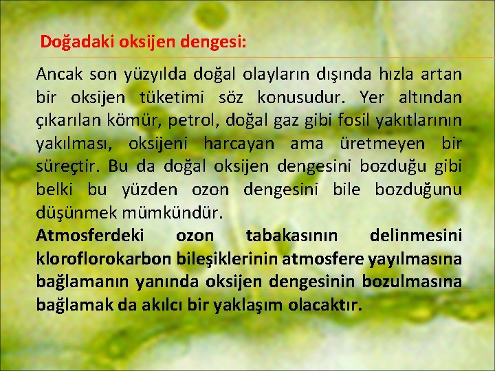 Doğadaki oksijen dengesi: Ancak son yüzyılda doğal olayların dışında hızla artan bir oksijen tüketimi