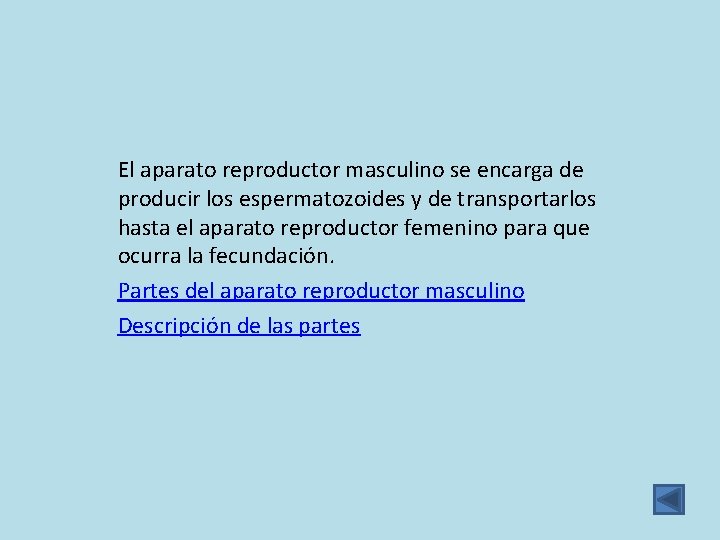 El aparato reproductor masculino se encarga de producir los espermatozoides y de transportarlos hasta