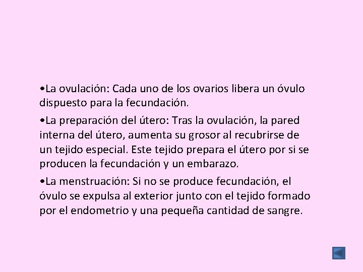  • La ovulación: Cada uno de los ovarios libera un óvulo dispuesto para