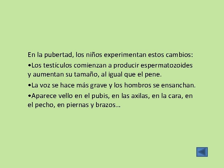 En la pubertad, los niños experimentan estos cambios: • Los testículos comienzan a producir