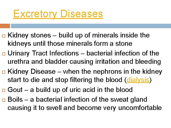 Excretory Diseases Kidney stones – build up of minerals inside the kidneys until those