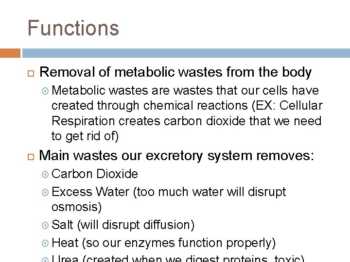 Functions Removal of metabolic wastes from the body Metabolic wastes are wastes that our