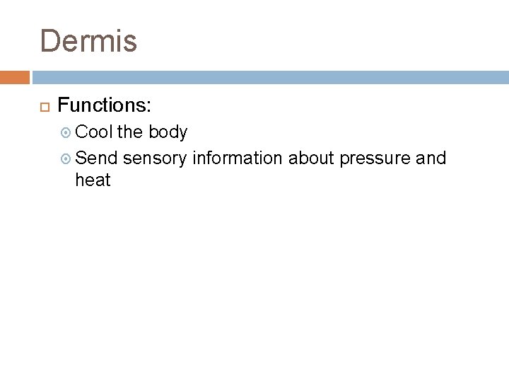 Dermis Functions: Cool the body Send sensory information about pressure and heat 