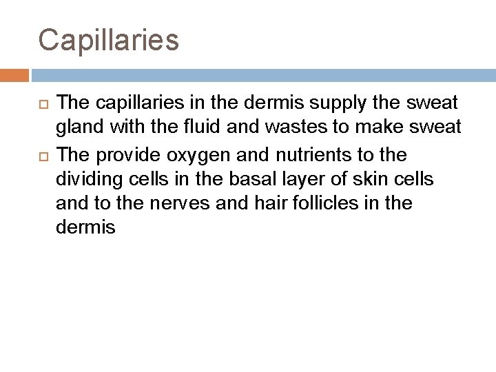 Capillaries The capillaries in the dermis supply the sweat gland with the fluid and