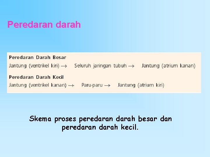 Peredaran darah Skema proses peredaran darah besar dan peredaran darah kecil. 