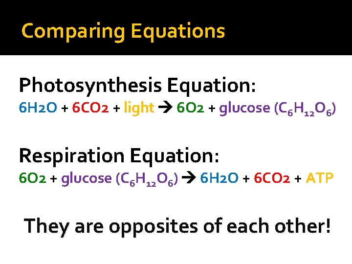 Comparing Equations Photosynthesis Equation: 6 H 2 O + 6 CO 2 + light