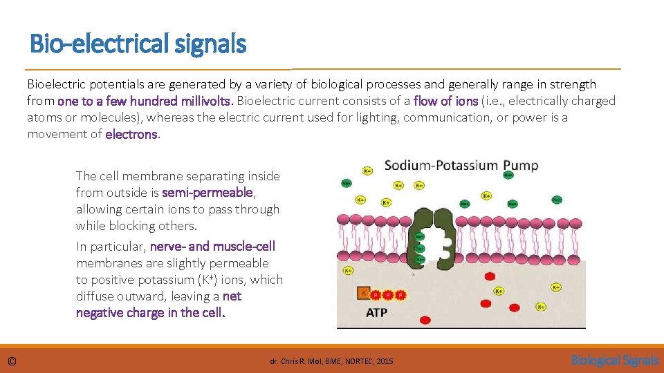 Bio-electrical signals Bioelectric potentials are generated by a variety of biological processes and generally