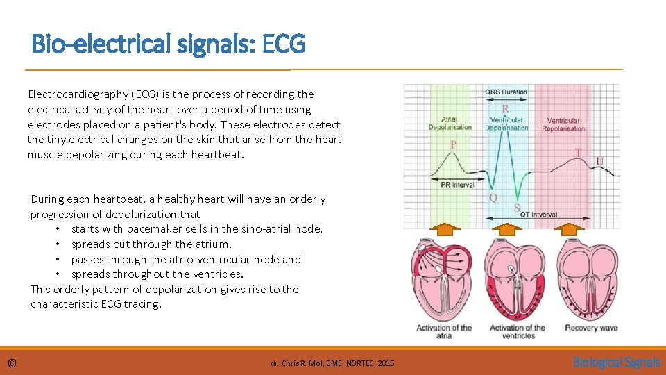 Bio-electrical signals: ECG Electrocardiography (ECG) is the process of recording the electrical activity of