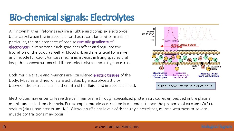 Bio-chemical signals: Electrolytes All known higher lifeforms require a subtle and complex electrolyte balance