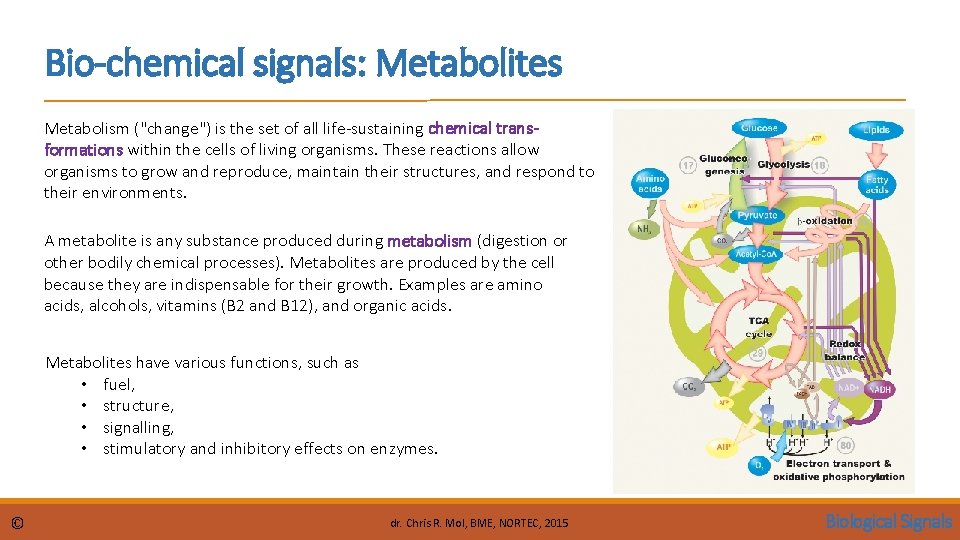 Bio-chemical signals: Metabolites Metabolism ("change") is the set of all life-sustaining chemical transformations within