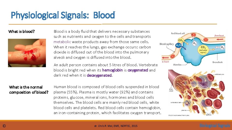 Physiological Signals: Blood What is blood? Blood is a body fluid that delivers necessary