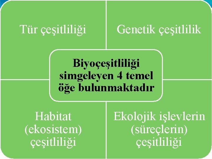 Tür çeşitliliği Genetik çeşitlilik Biyoçeşitliliği simgeleyen 4 temel öğe bulunmaktadır Habitat (ekosistem) çeşitliliği Ekolojik