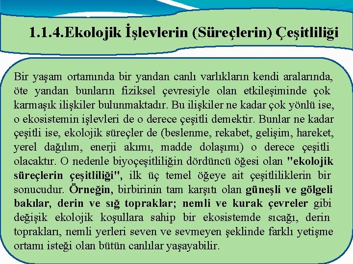 1. 1. 4. Ekolojik İşlevlerin (Süreçlerin) Çeşitliliği Bir yaşam ortamında bir yandan canlı varlıkların