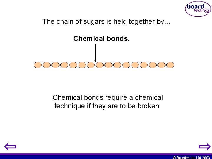 Key Stage 4 Digestion Boardworks Ltd 2003 Teachers