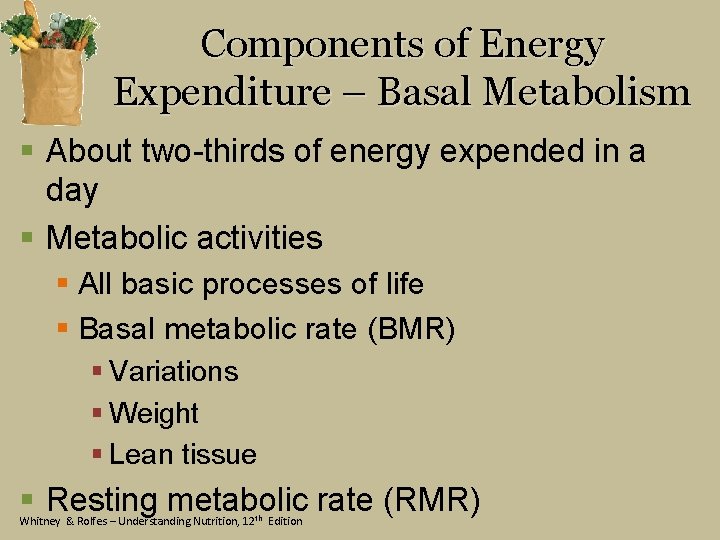 Components of Energy Expenditure – Basal Metabolism § About two-thirds of energy expended in