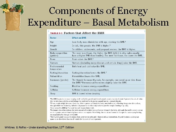 Components of Energy Expenditure – Basal Metabolism Whitney & Rolfes – Understanding Nutrition, 12