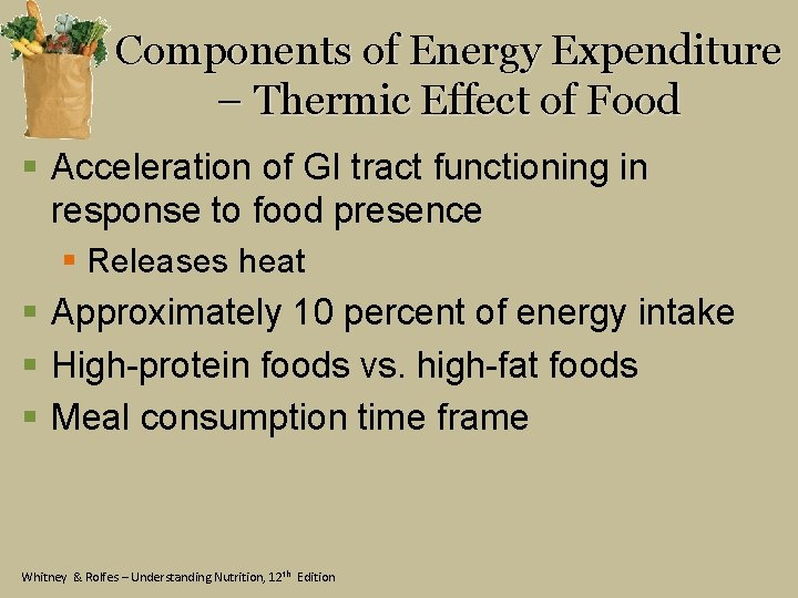 Components of Energy Expenditure – Thermic Effect of Food § Acceleration of GI tract