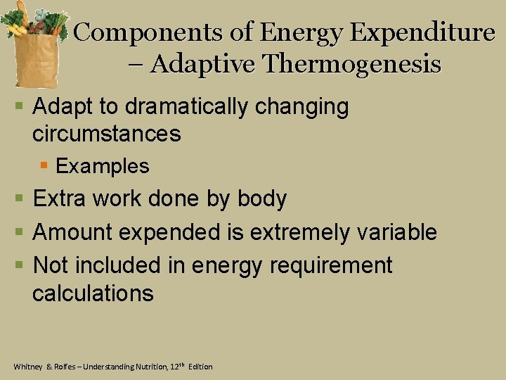 Components of Energy Expenditure – Adaptive Thermogenesis § Adapt to dramatically changing circumstances §