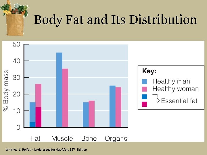 Body Fat and Its Distribution Whitney & Rolfes – Understanding Nutrition, 12 th Edition