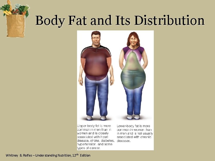 Body Fat and Its Distribution Whitney & Rolfes – Understanding Nutrition, 12 th Edition
