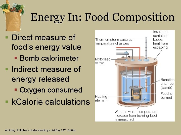 Energy In: Food Composition § Direct measure of food’s energy value § Bomb calorimeter