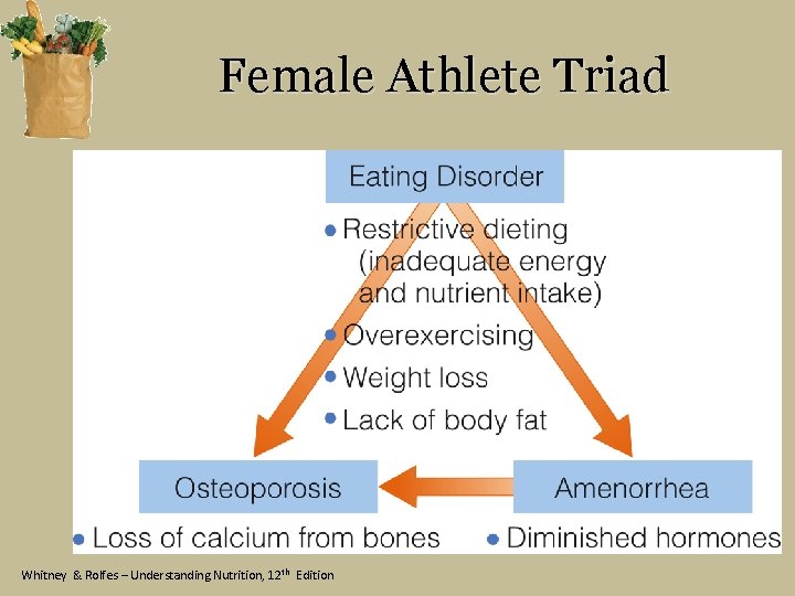 Female Athlete Triad Whitney & Rolfes – Understanding Nutrition, 12 th Edition 