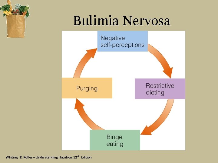Bulimia Nervosa Whitney & Rolfes – Understanding Nutrition, 12 th Edition 