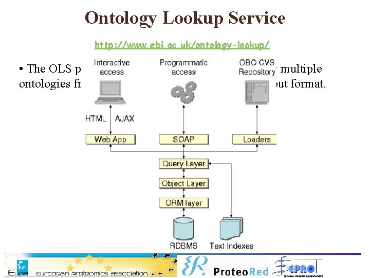 Ontology Lookup Service http: //www. ebi. ac. uk/ontology-lookup/ • The OLS provides a web