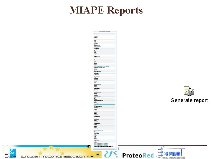 MIAPE Reports Generate report 