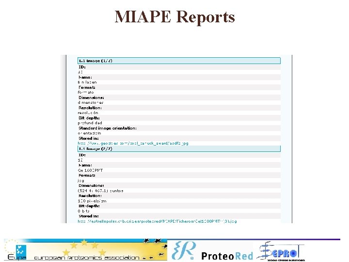 MIAPE Reports 
