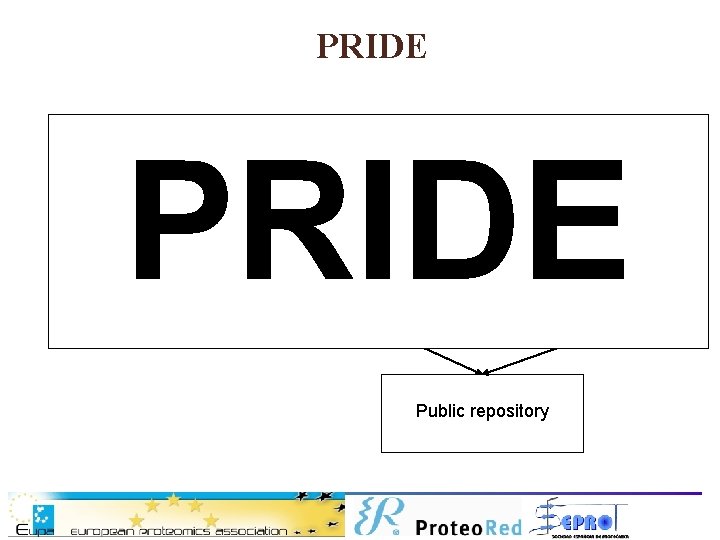 PRIDE mass spectrometer A mass spectrometer B proprietary format converter search engine A mz.