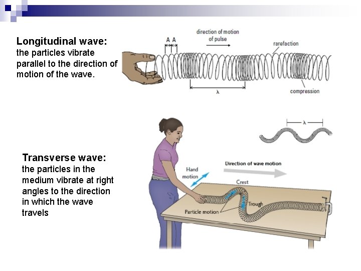 Longitudinal wave: the particles vibrate parallel to the direction of motion of the wave.