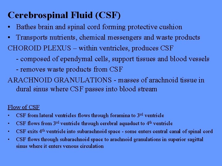 Cerebrospinal Fluid (CSF) • Bathes brain and spinal cord forming protective cushion • Transports