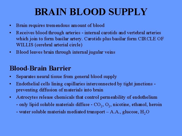 BRAIN BLOOD SUPPLY • Brain requires tremendous amount of blood • Receives blood through