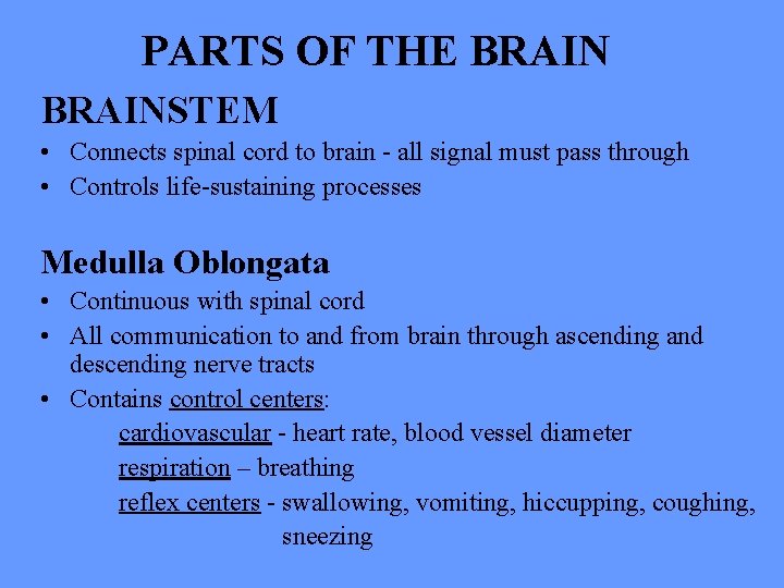 PARTS OF THE BRAINSTEM • Connects spinal cord to brain - all signal must