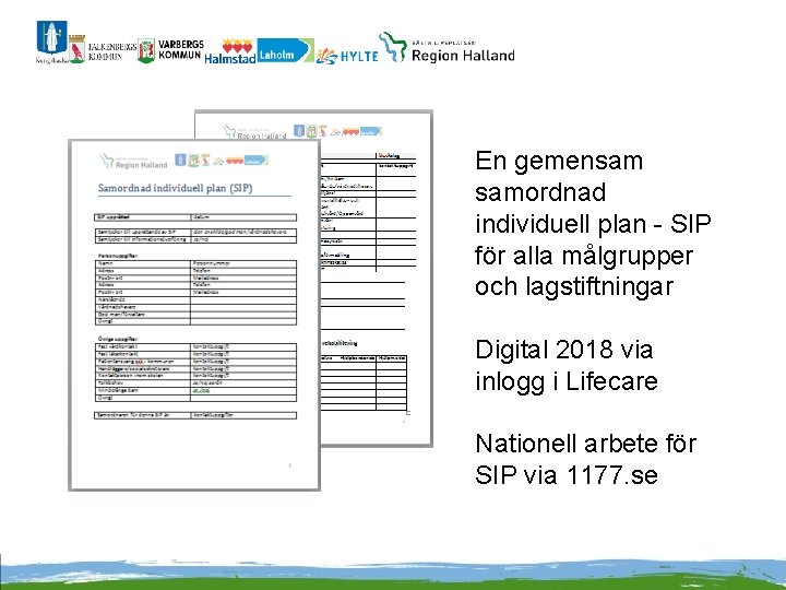 En gemensam samordnad individuell plan - SIP för alla målgrupper och lagstiftningar Digital 2018