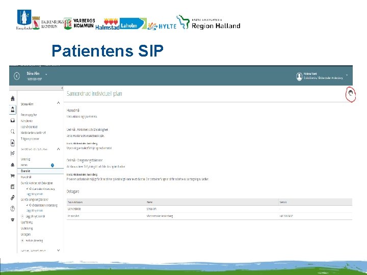 Patientens SIP 