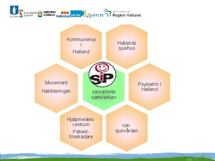 Kommunerna i Hallands sjukhus Halland Movement Habiliteringen samarbete samverkan Hjälpmedelscentrum Patientföreträdare Psykiatrin i Halland