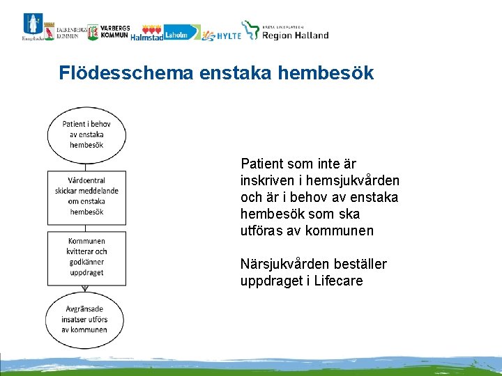 Flödesschema enstaka hembesök Patient som inte är inskriven i hemsjukvården och är i behov