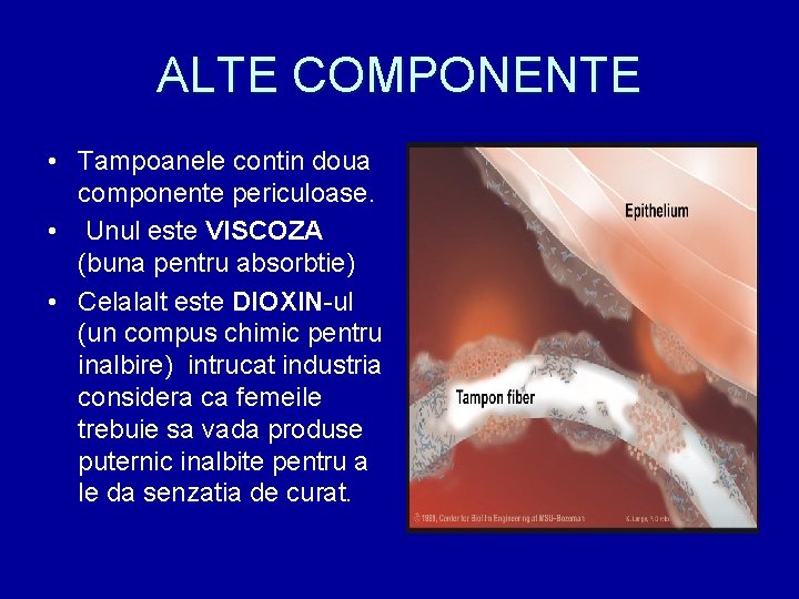 ALTE COMPONENTE • Tampoanele contin doua componente periculoase. • Unul este VISCOZA (buna pentru